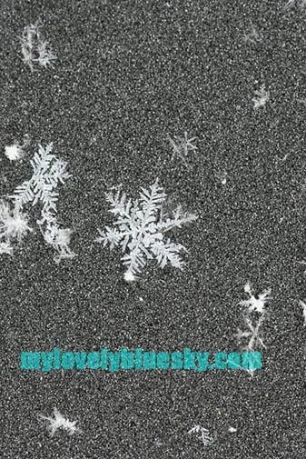 snowflakes_20081204_0008-edit