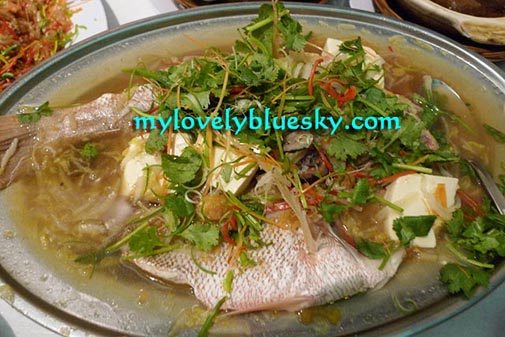 20090201_new-year-celebration_0520