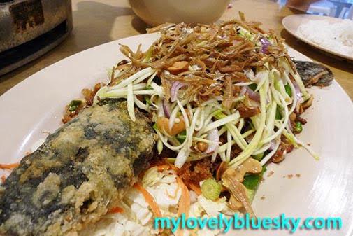 20090628_0079 20090628_0079