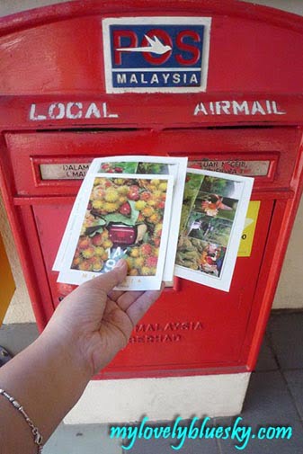 20090612_1093 20090612_1093