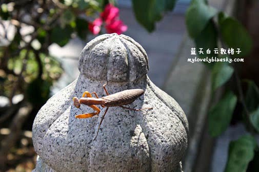 20101024_Anniversary_3rd_Hong_Kong_1493