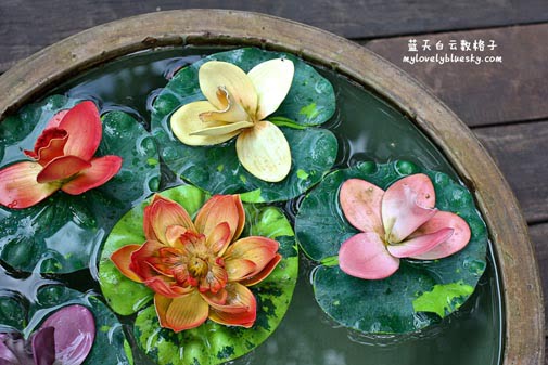 20110716_Tree_Monkey_0048