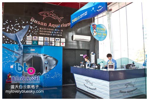 Busan Aquarium