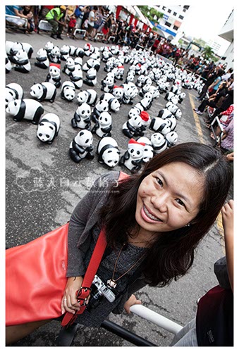 槟城站：1600熊猫游大马 Pandas on Tour