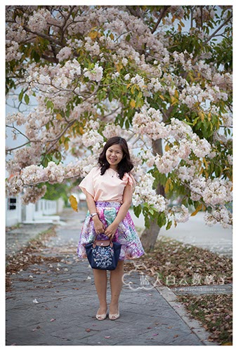 槟城旅游：追风铃木“赏樱”
