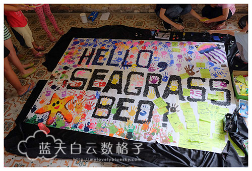20150802_Project-Seagrass_0160