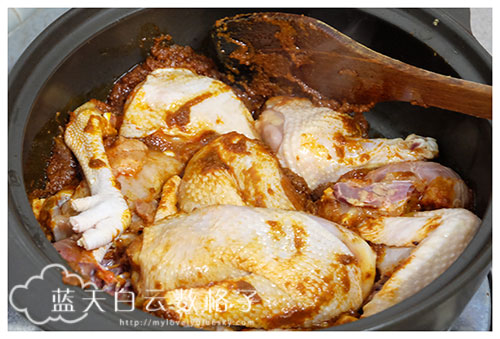 Dollee 多利牌 ：Chicken Curry Paste 咖喱鸡即煮酱料