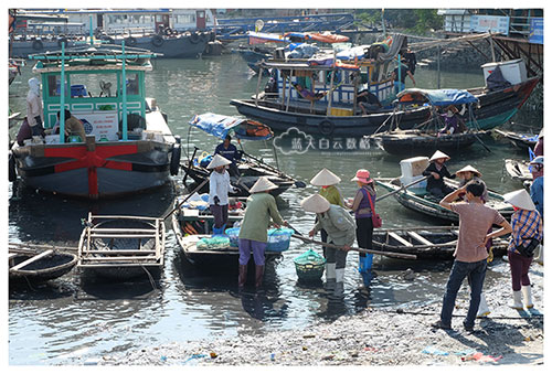 20151102_Ha-long-bay-Hanoi-by-Victoria-Tourism_1631