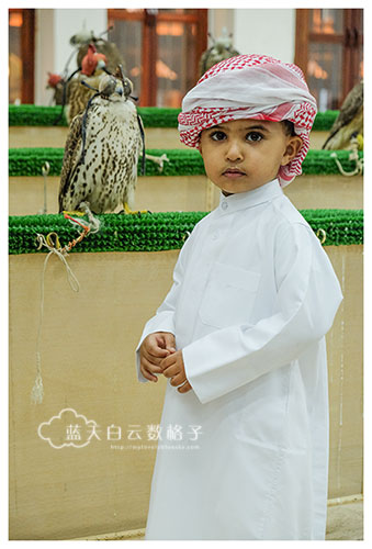 20160930_qatar-doha_0194