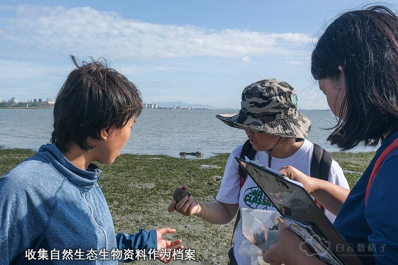 海草床活动给公众对沿海自然生态有认识