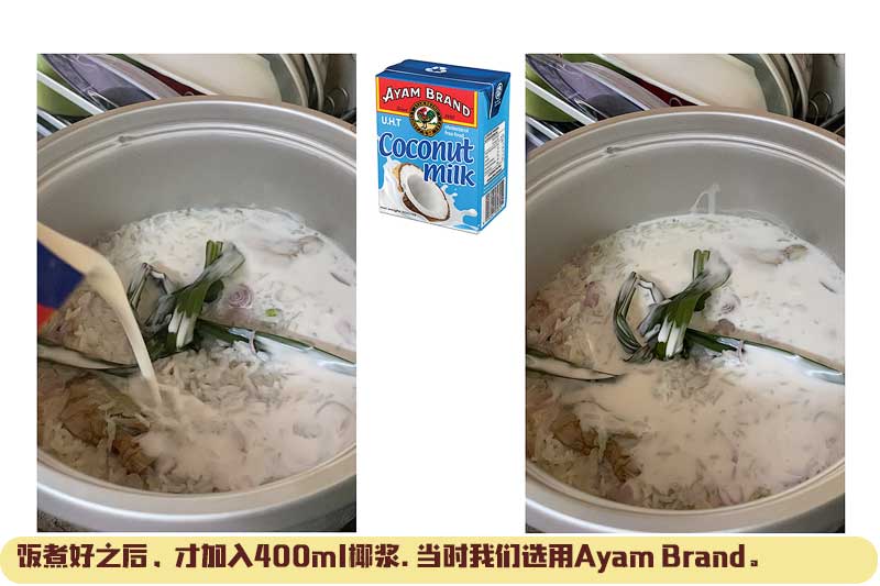 Ayam Brand Coconut Milk 