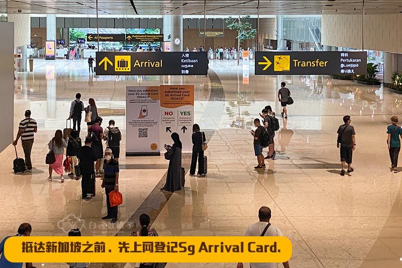  SG Arrival Card