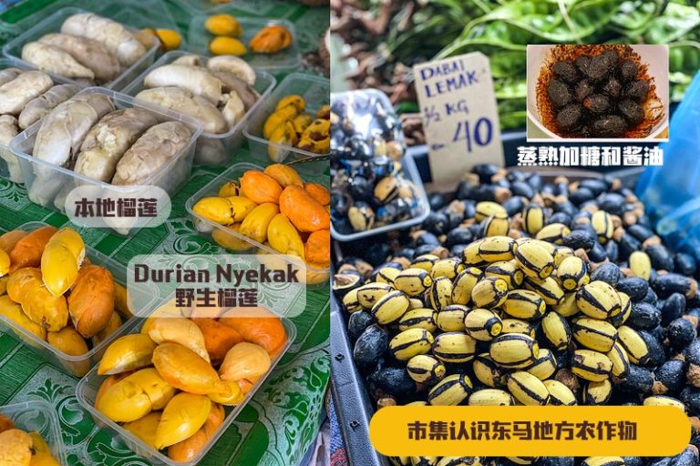 砂拉越美里旅游 · Miri 景点市集美食伴手礼活动