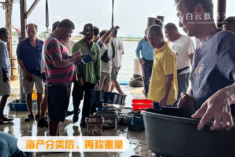 海产先称上重量