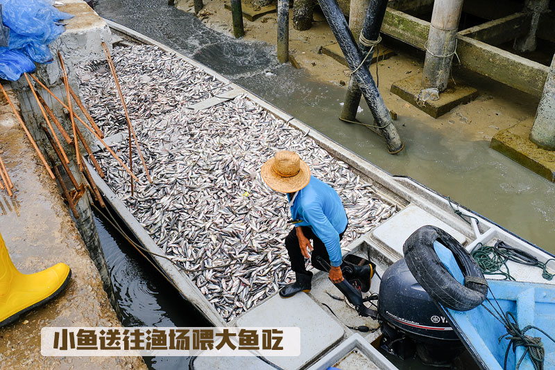 龟咯码头