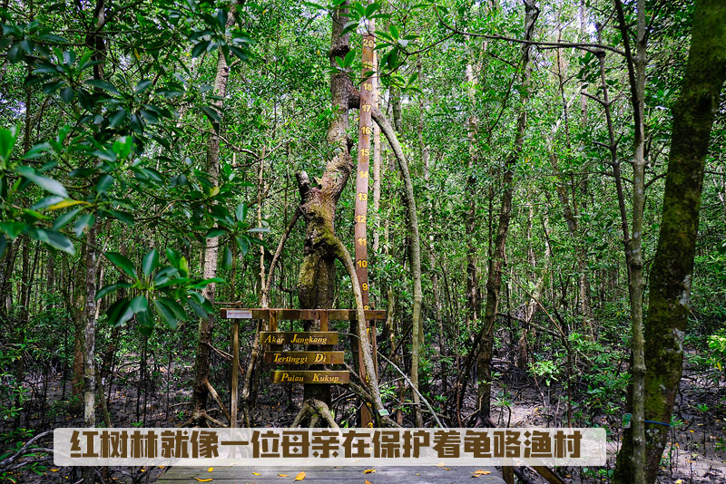 Taman Negara Kukup