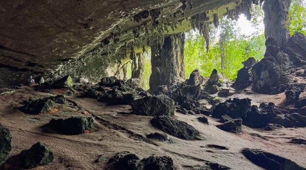Niah National Park