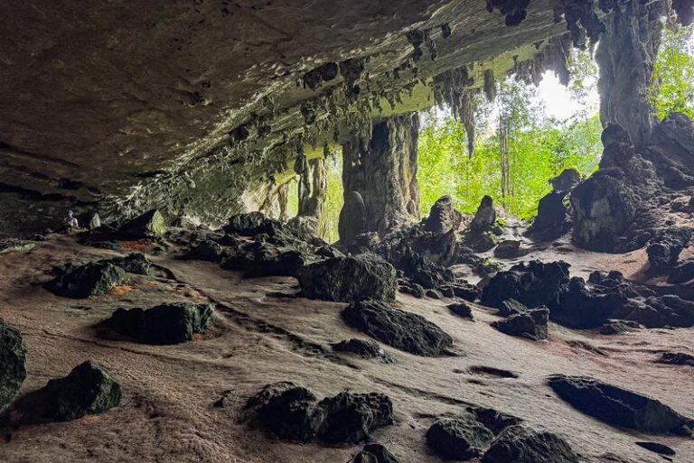 Niah National Park